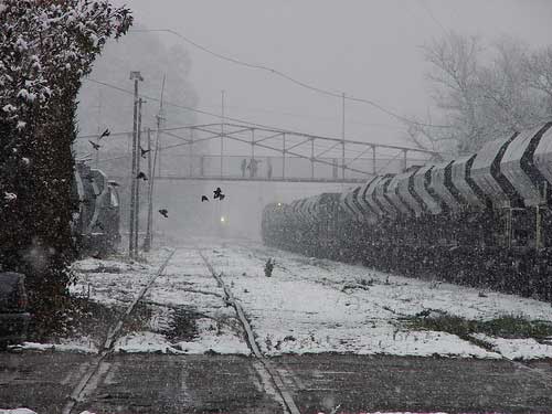 nieve en Venado Tuerto 2- fotografia Eduardo Carneglia