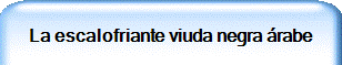 La escalofriante viuda negra árabe